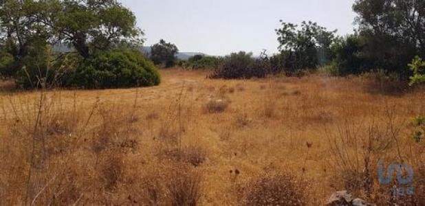 Acheter Terrain Loule rgion FARO
