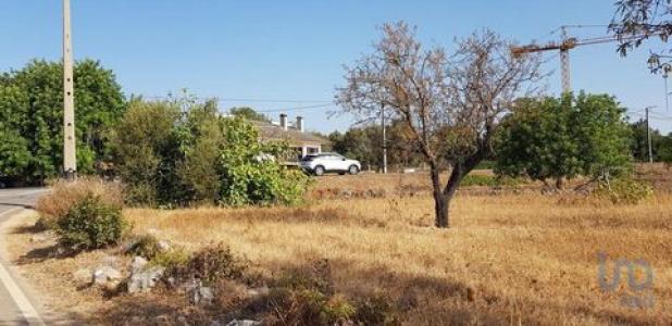 Annonce Vente Terrain Loule