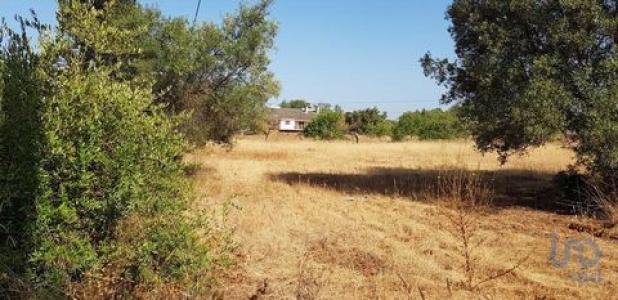 Acheter Terrain Loule rgion FARO