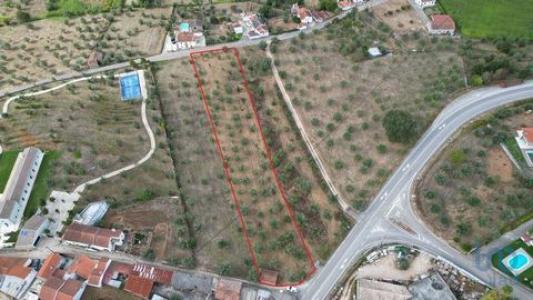 Annonce Vente Terrain Penela