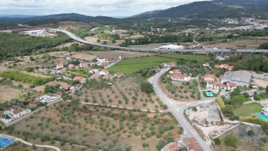 Acheter Terrain 3186 m2 Penela