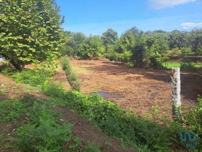 Acheter Terrain 1740 m2 Vila-verde
