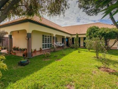 Annonce Vente 3 pices Maison Ribeira-brava