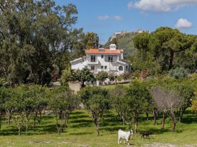 Annonce Vente 8 pices Maison Palmela