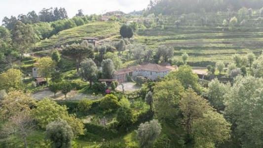 Acheter Maison Celorico-de-basto