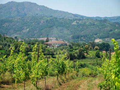 Annonce Vente Maison Cabeceiras-de-basto