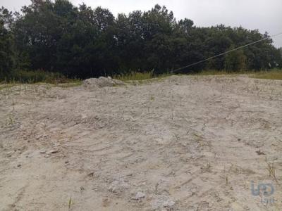 Annonce Vente Terrain Barcelos