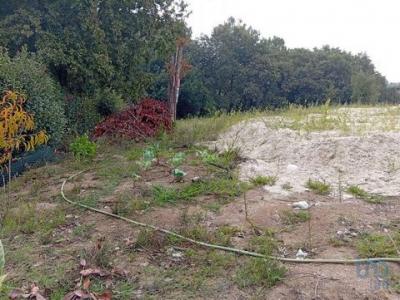 Acheter Terrain 650 m2 Barcelos