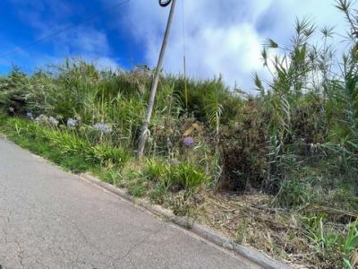 Annonce Vente Terrain Calheta