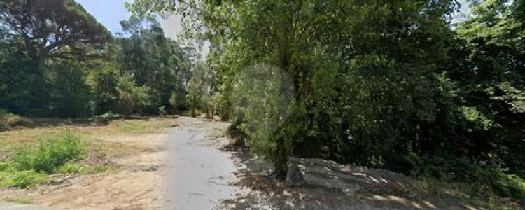 Acheter Terrain 17500 m2 Vila-nova-de-famalicao