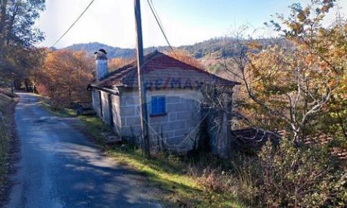 Acheter Maison Celorico-de-basto