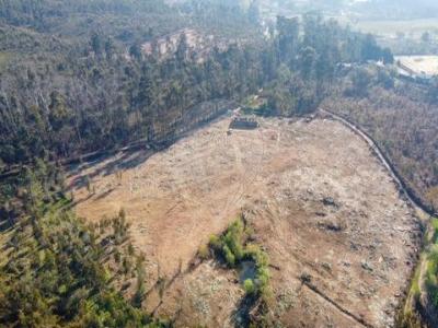 Vente Terrain Santo-tirso  13 au Portugal