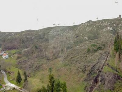 Acheter Terrain 32767 m2 Celorico-de-basto