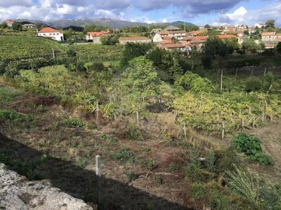 Acheter Terrain Cabeceiras-de-basto