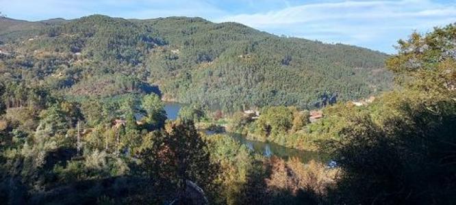 Annonce Vente Terrain Vieira-do-minho