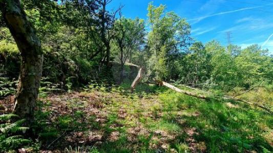 Acheter Terrain 30 m2 Vieira-do-minho