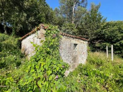 Annonce Vente Maison Arcos-de-valdevez