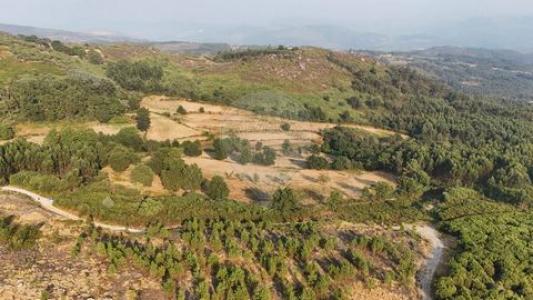 Annonce Vente Terrain Cabeceiras-de-basto