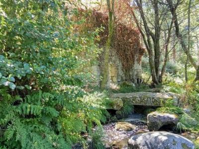 Annonce Vente Maison Terras-de-bouro