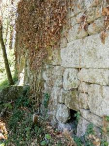Acheter Maison 384 m2 Terras-de-bouro