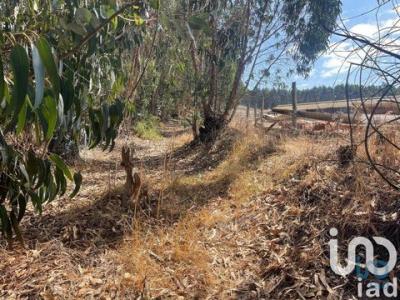 Annonce Vente Terrain Campelos