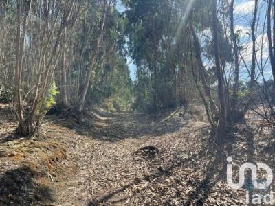 Acheter Terrain 24955 m2 Campelos