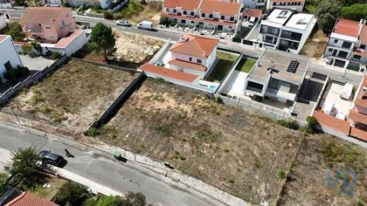 Acheter Terrain Rio-maior rgion SANTAREM