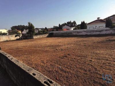 Acheter Terrain 1593 m2 Arada