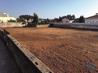 Acheter Terrain Arada rgion AVEIRO