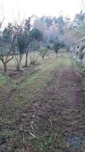Acheter Terrain Banho-e-carvalhosa rgion PORTO
