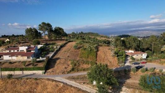 Acheter Terrain 2600 m2 Banho-e-carvalhosa