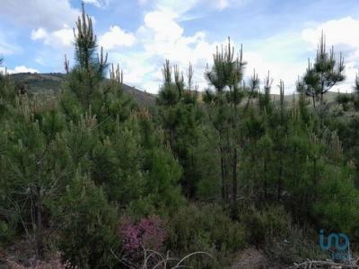 Annonce Vente Terrain Barco