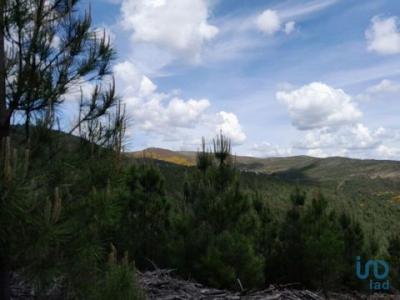 Acheter Terrain 32767 m2 Barco