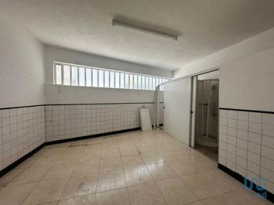 Acheter Appartement 71 m2 Alfena