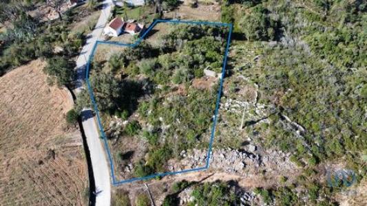 Acheter Terrain Ansiao rgion LEIRIA