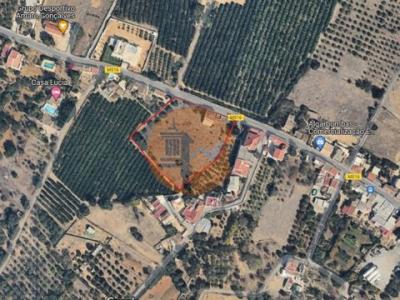 Annonce Vente Terrain Tavira