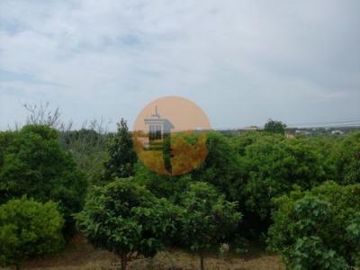 Acheter Terrain 330 m2 Tavira