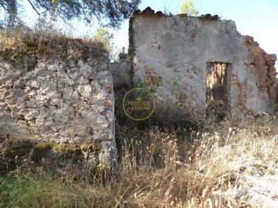Annonce Vente Terrain Boliqueime