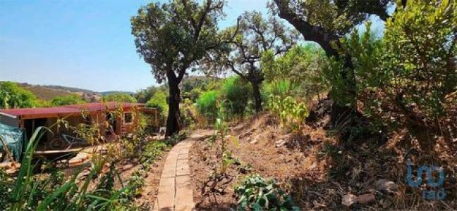 Annonce Vente Terrain Vila-do-bispo