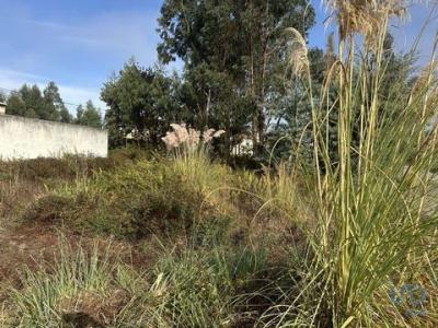 Annonce Vente Terrain Aveiro