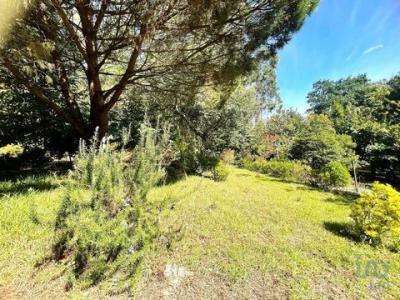 Annonce Vente Terrain Aldreu