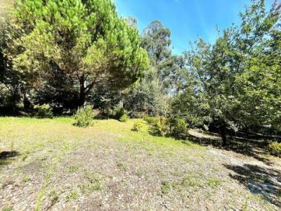 Acheter Terrain 300 m2 Aldreu
