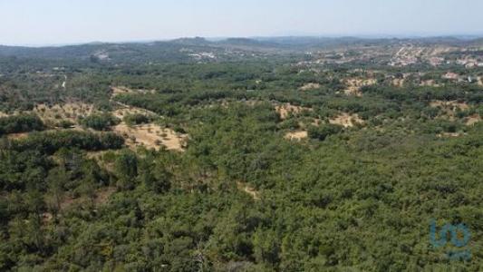 Vente Terrain Ferreira-do-zezere CHAOS 14 au Portugal