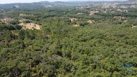 Acheter Terrain 32360 m2 Ferreira-do-zezere