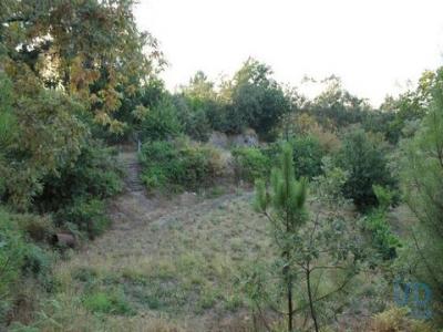 Acheter Terrain 20100 m2 Oliveira-do-hospital