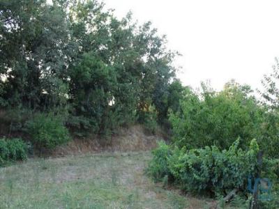Acheter Terrain Oliveira-do-hospital rgion COIMBRA