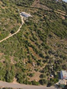 Annonce Vente Terrain Faro