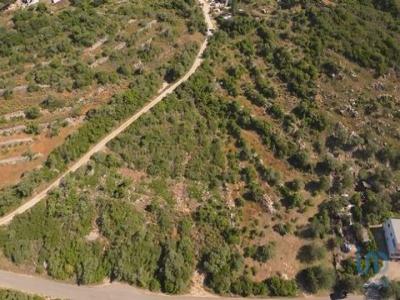 Acheter Terrain 6240 m2 Faro