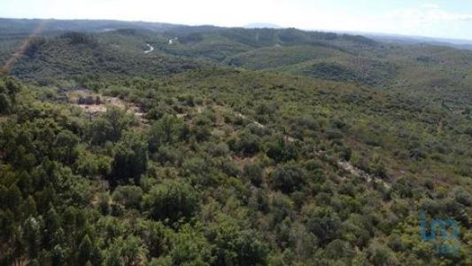 Acheter Terrain 15939 m2 Abades