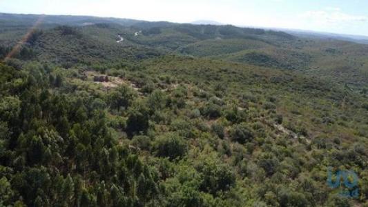 Acheter Terrain Abades rgion SANTAREM